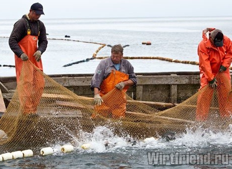 В Совфеде предлагают разрешить рыболовство в национальных парках